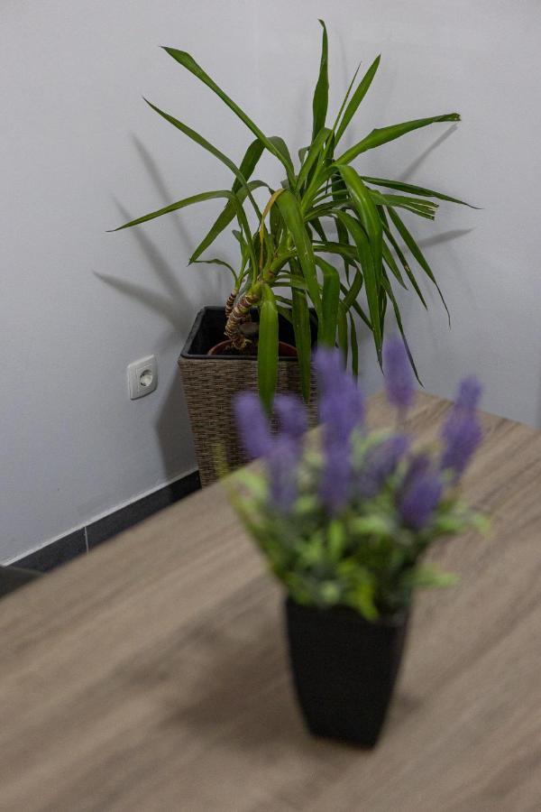 Apartman Toni Split Exterior foto